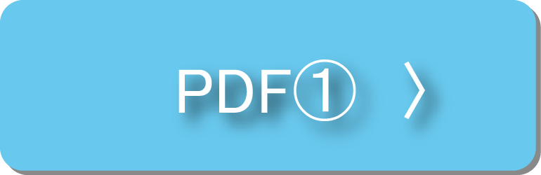 キャリアパスPDF